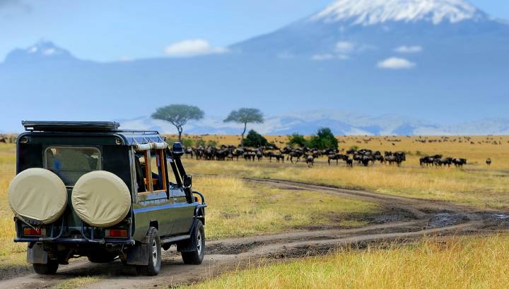 Enchanting Travels Kenya Tours Masai Mara (2)