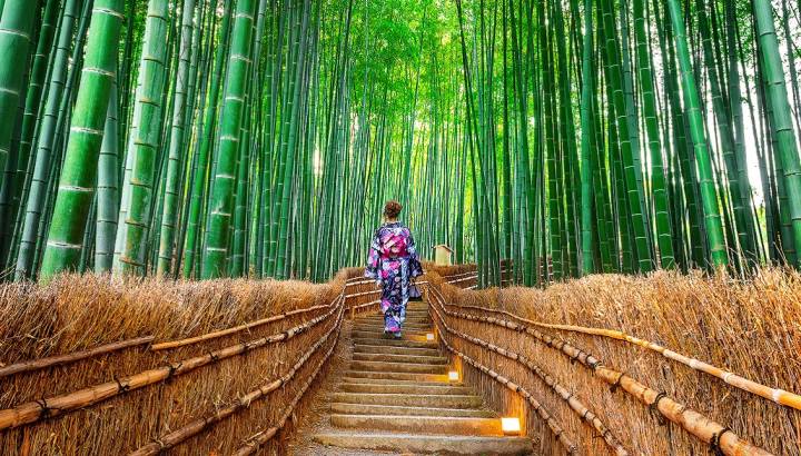 Search for Your Perfect Luxury Vacations