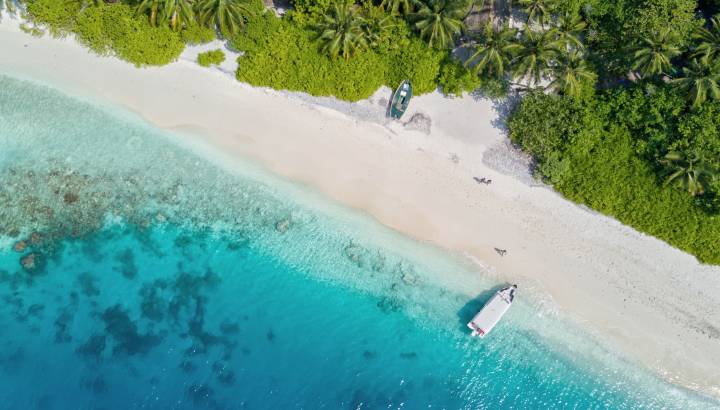 Beautiful aerial view of Maldives jetty and tropical beach with palms and white sand