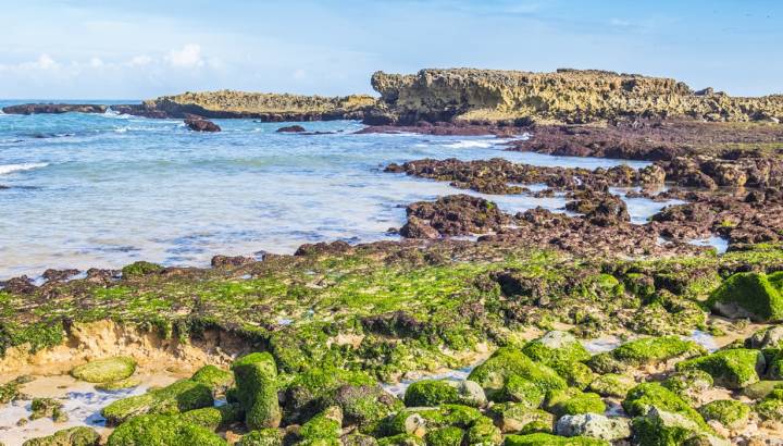 Enchanting Travels Morocco Tours Beach in Oualidia, Atlantic coast of Morocco