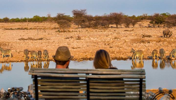 Enchanting Travels Namibia ToursRear view of young couple observing animals in african savanna, Etosha National Park, Namibia