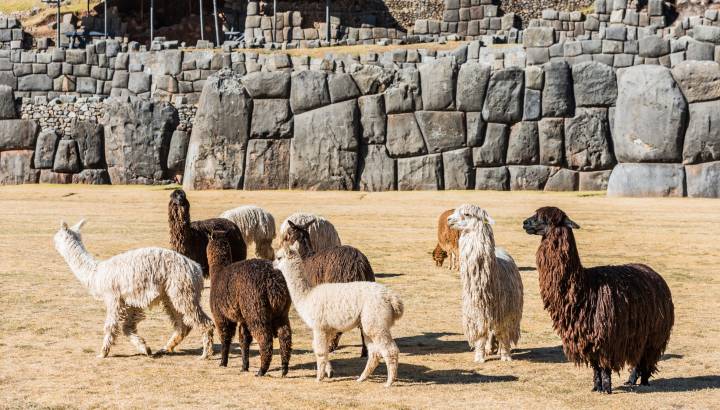 Saqsaywaman, is a citadel on the northern outskirts of the city of Cusco, Peru, South America