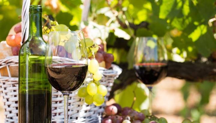 Enchanting Travels Spain Tours Wine
