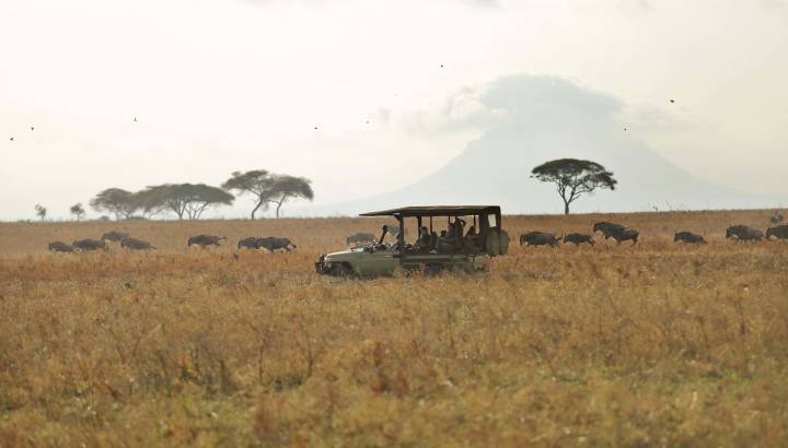 Tanzania - Tarangire