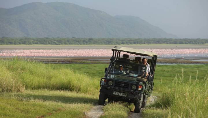 Safari tour at Lake Manyara & Ngorongoro, Tanzania