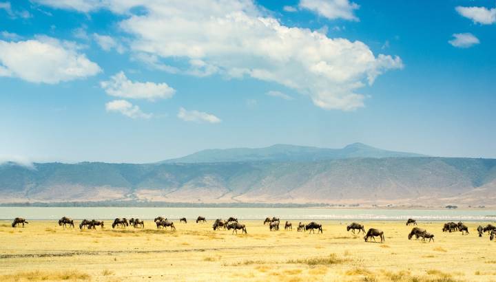 Ngorongoro Crater