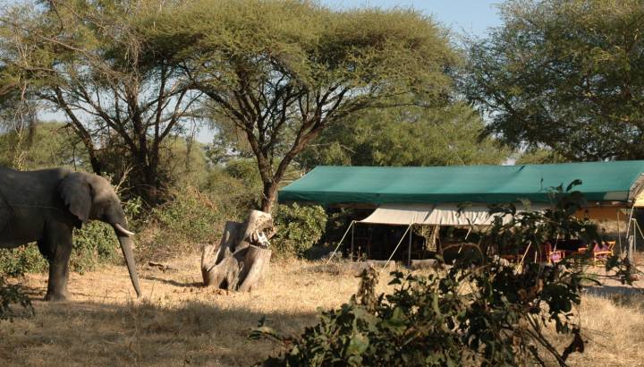 Exterior view at Mdonya Old River Camp in Ruaha, Tanzania