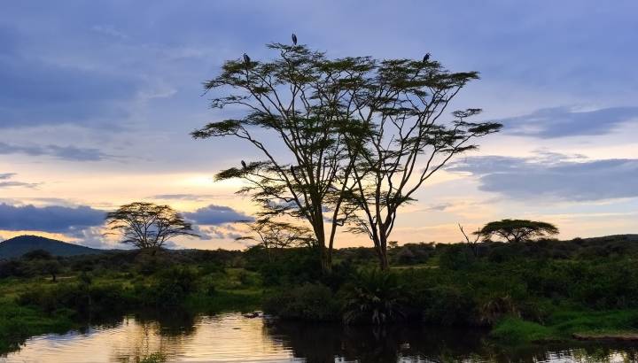 Enchanting Travels Tanzania Tours Serengeti in the evening
