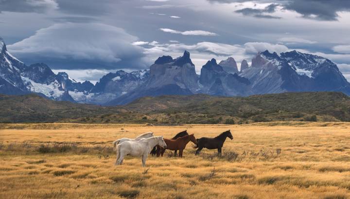 Enchanting Travels Torres del Paine National Park, Patagonia, Chile