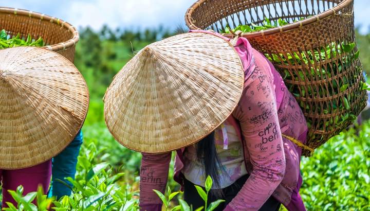 Sicherheit in Vietnam: Vietnams Bevölkerung ist freundlich und hilfsbereit