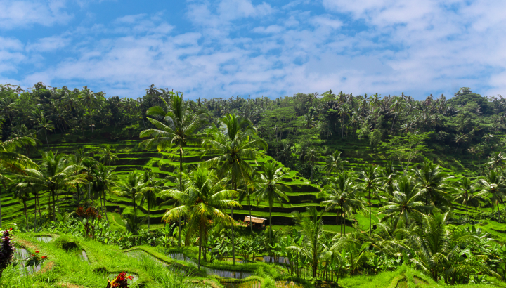 Search for Your Perfect Luxury Vacations