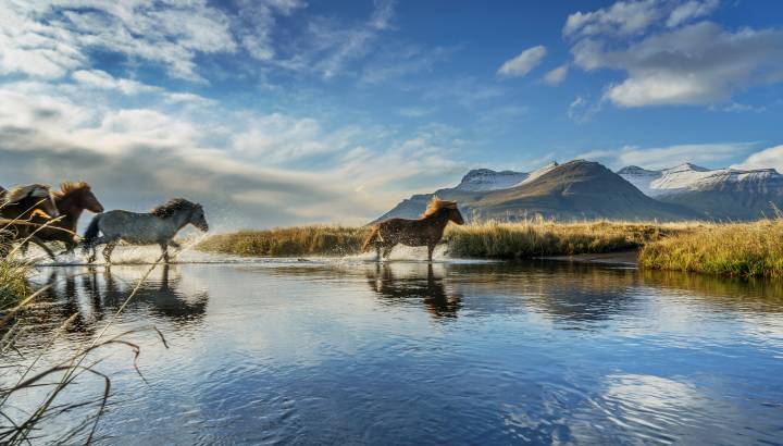 Iceland Vacation