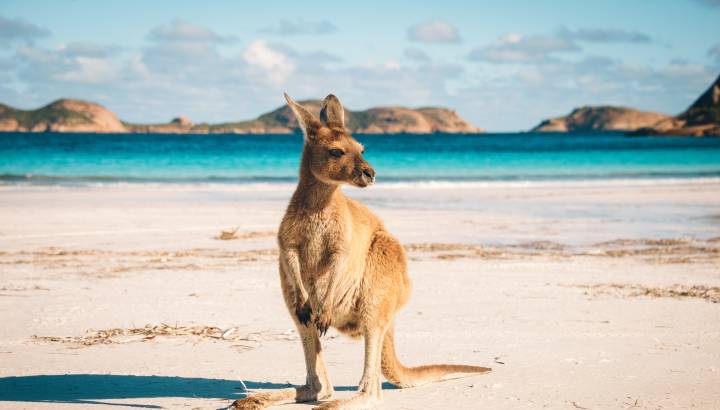 Search for Your Perfect Luxury Vacations