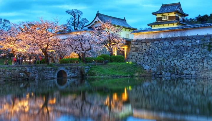 Search for Your Perfect Luxury Vacations