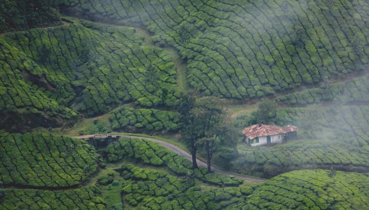 Search for Your Perfect Luxury Vacations