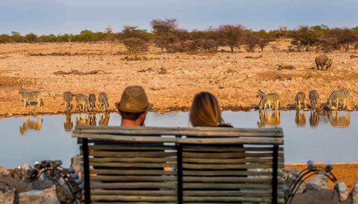 wildlife safari in Namibia