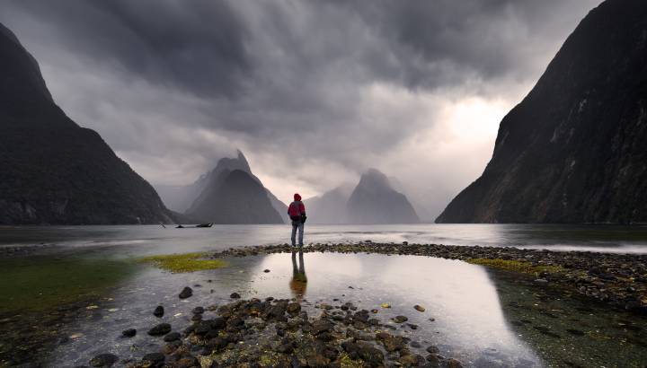 Risk taker Milford sound