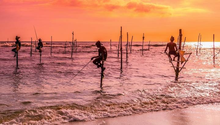 Search for Your Perfect Luxury Vacations