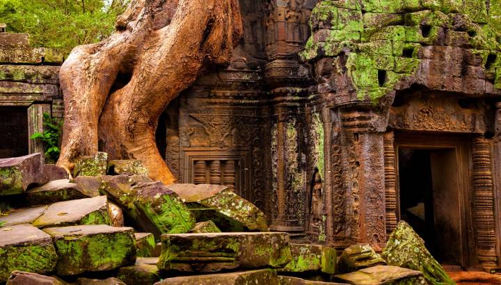 Ta Prohm temple, Angkor Wat complex, Siem Reap, Cambodia, Asia