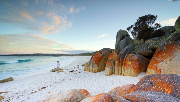 Best trips to take in 2020
