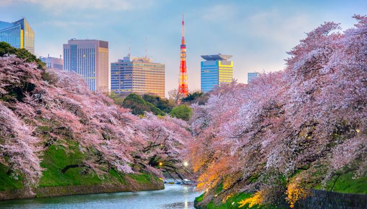 Tokyo