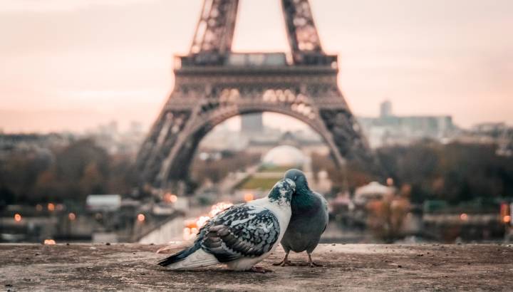 Everyday culture of France