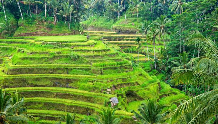 Ubud, Bali