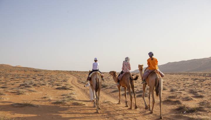 Walking with camels in desert of oman