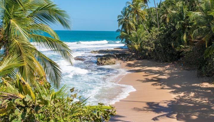 Wild caribbean beach of Manzanillo at Puerto Viejo, Costa Rica
