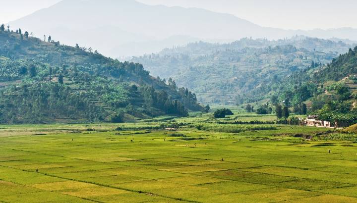 Kigali Hills