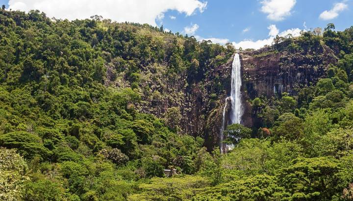 Bambarakanda Wasserfall