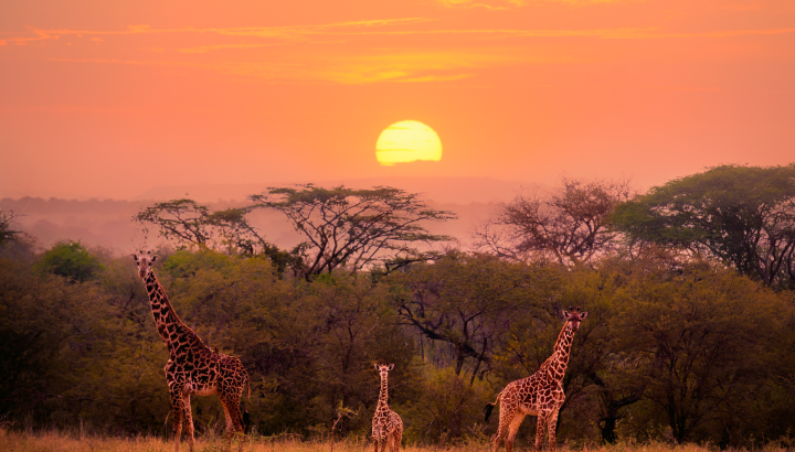Search for Your Perfect Luxury Vacations
