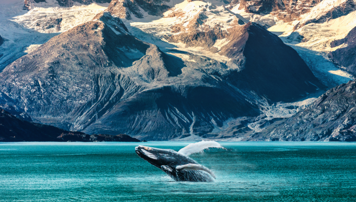 Search for Your Perfect Luxury Vacations