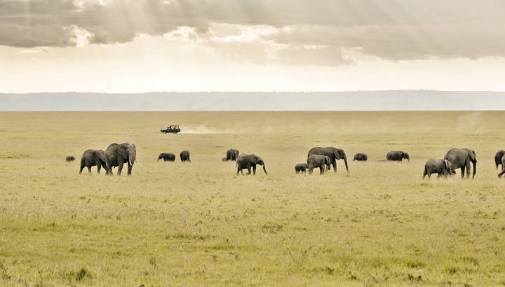 Tailor-made vacation in Africa