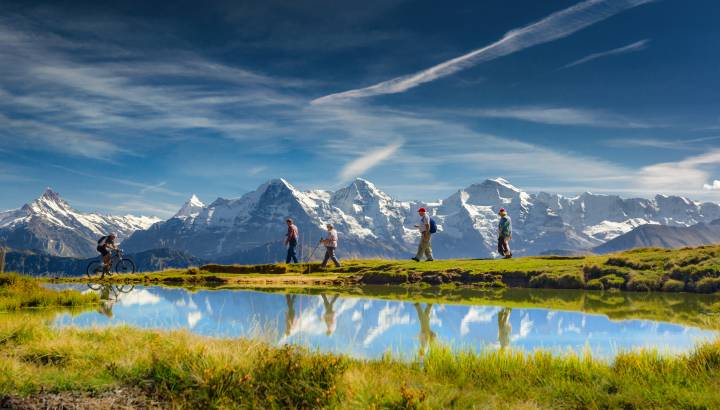Search for Your Perfect Luxury Vacations