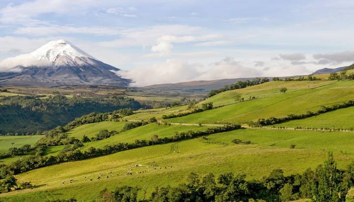 Landschaft in der Cotopaxi Region