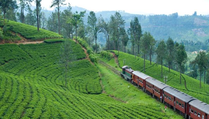 Train ride in Sri Lanka