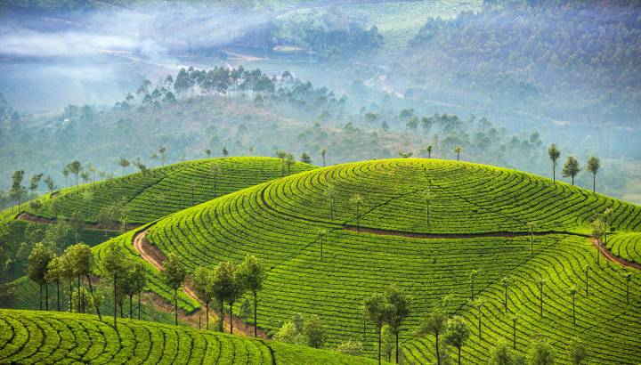 Search for Your Perfect Luxury Vacations