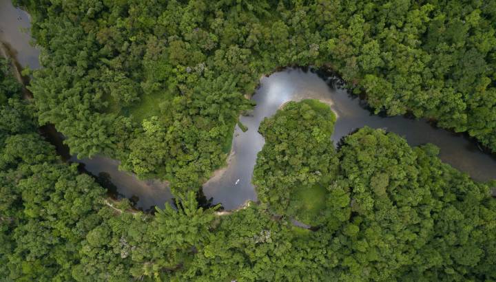 Amazonas