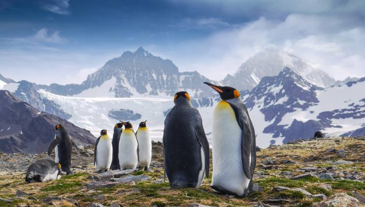 South Georgia Island