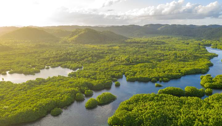 Aerial Drone view of the Anavilhanas archipelago Brazil