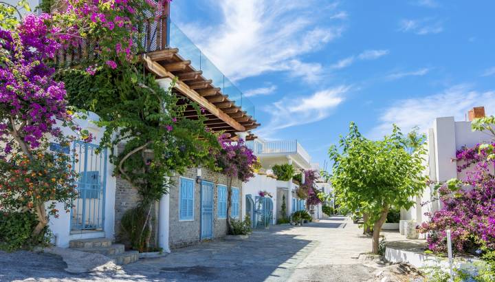 Search for Your Perfect Luxury Vacations