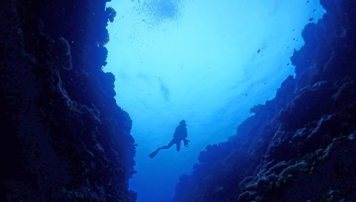 Blaue Unterwasserwelt mit Taucher in der Kabira Bucht in Ishigaki Japan