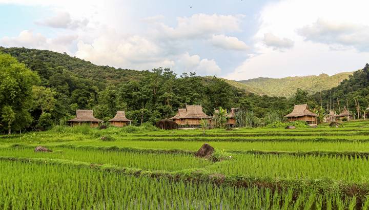 Panoramablick auf die grünen Reisfelder und Bambushütten im Tal von Oudomxay, Laos