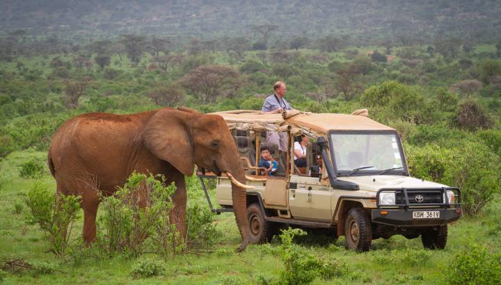 Elephant Bedroom Camp - Samburu, Safari in East Africa