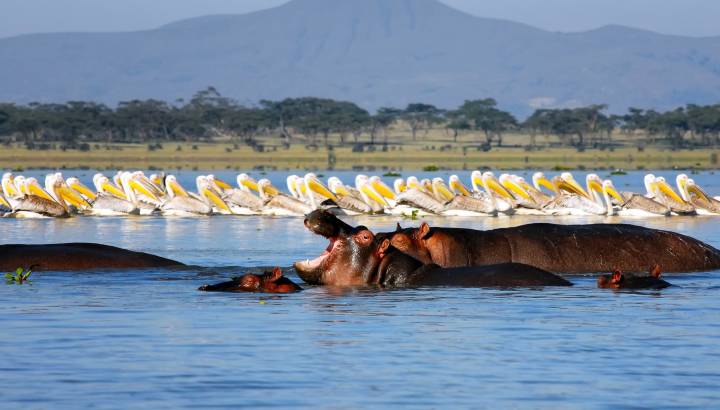 Search for Your Perfect Luxury Vacations