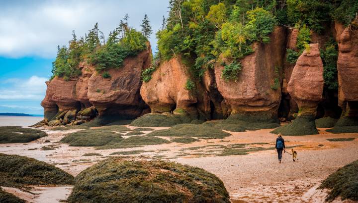 Search for Your Perfect Luxury Vacations