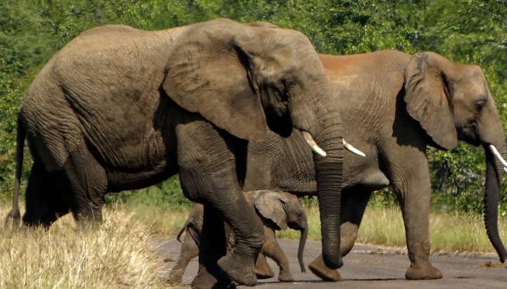 South Africa trip