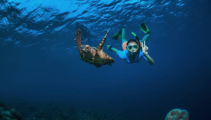 A girl and turtle underwater, Seychelles, Africa