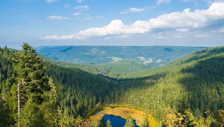 The Huzenbacher lake near Baiersbronn, Black Forest, Germany Tour